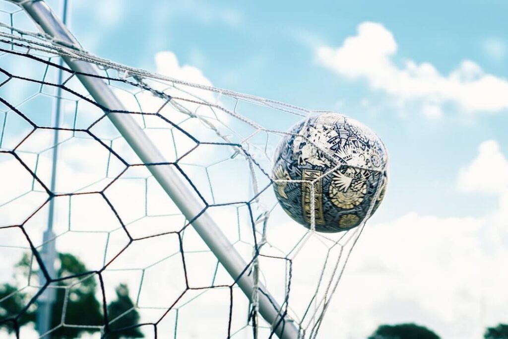 soccer ball in the goal net