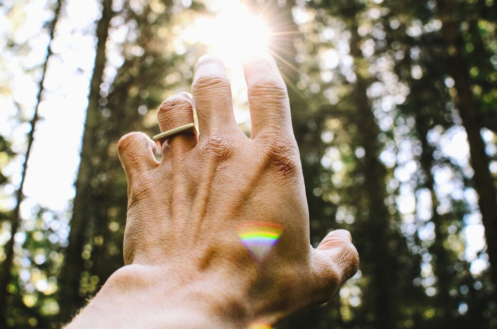 hand in the sun