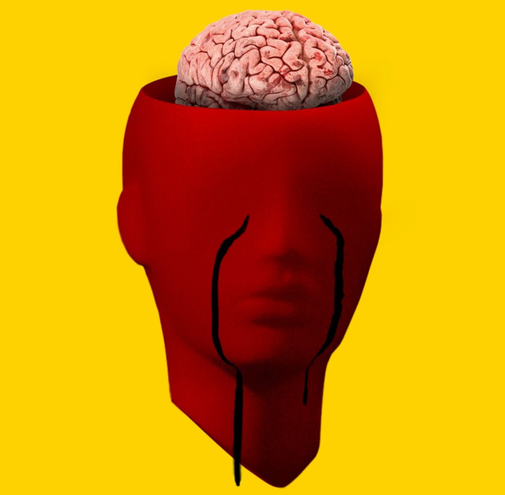 brain in the head