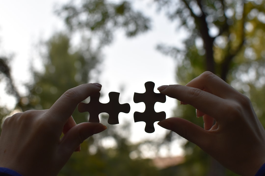 pieces of puzzle