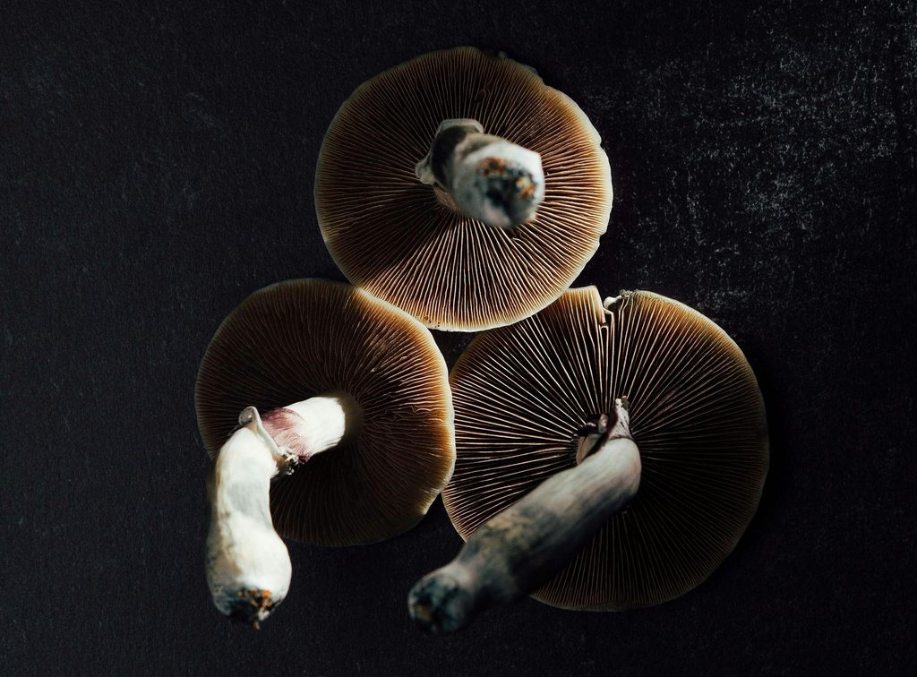 mushrooms
