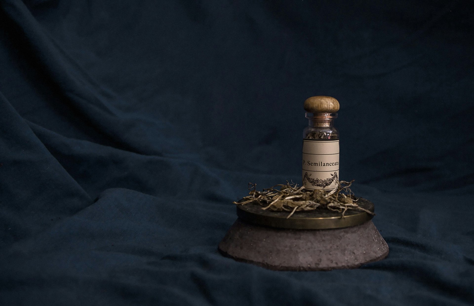 a small bottle with herbs in it